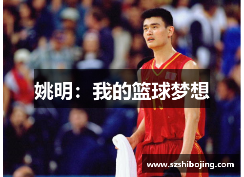 姚明：我的篮球梦想